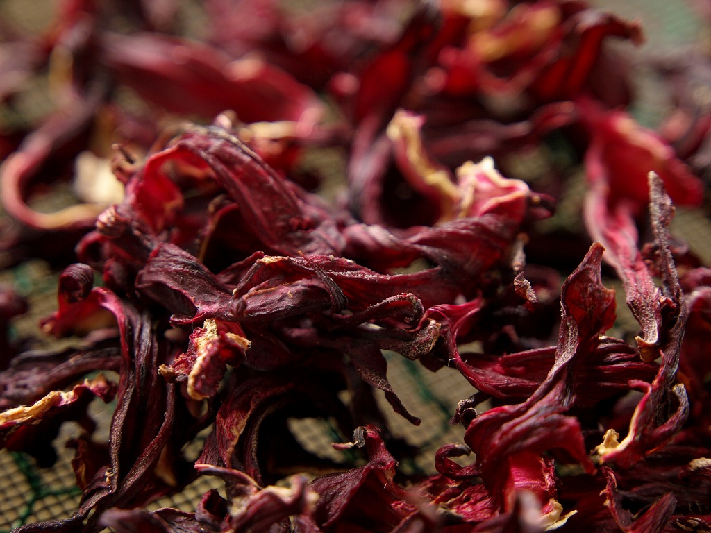 ３００g　(国産・高品質)乾燥パパイヤの皮の乾燥（無農薬・有機　茎900gセット 300g (国産・高品質)乾燥パパイヤの皮の乾燥（無農薬・有機